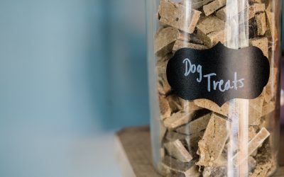 DOG TREATS-WHAT YOU NEED TO KNOW