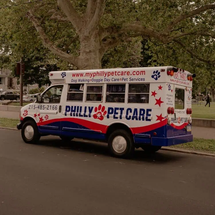 Dog Walking Pet Sitting Philadelphia Treat Transit