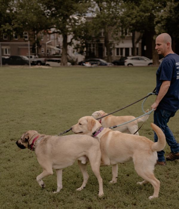 Group Dog Walking Philadelphia Philly Pet Care