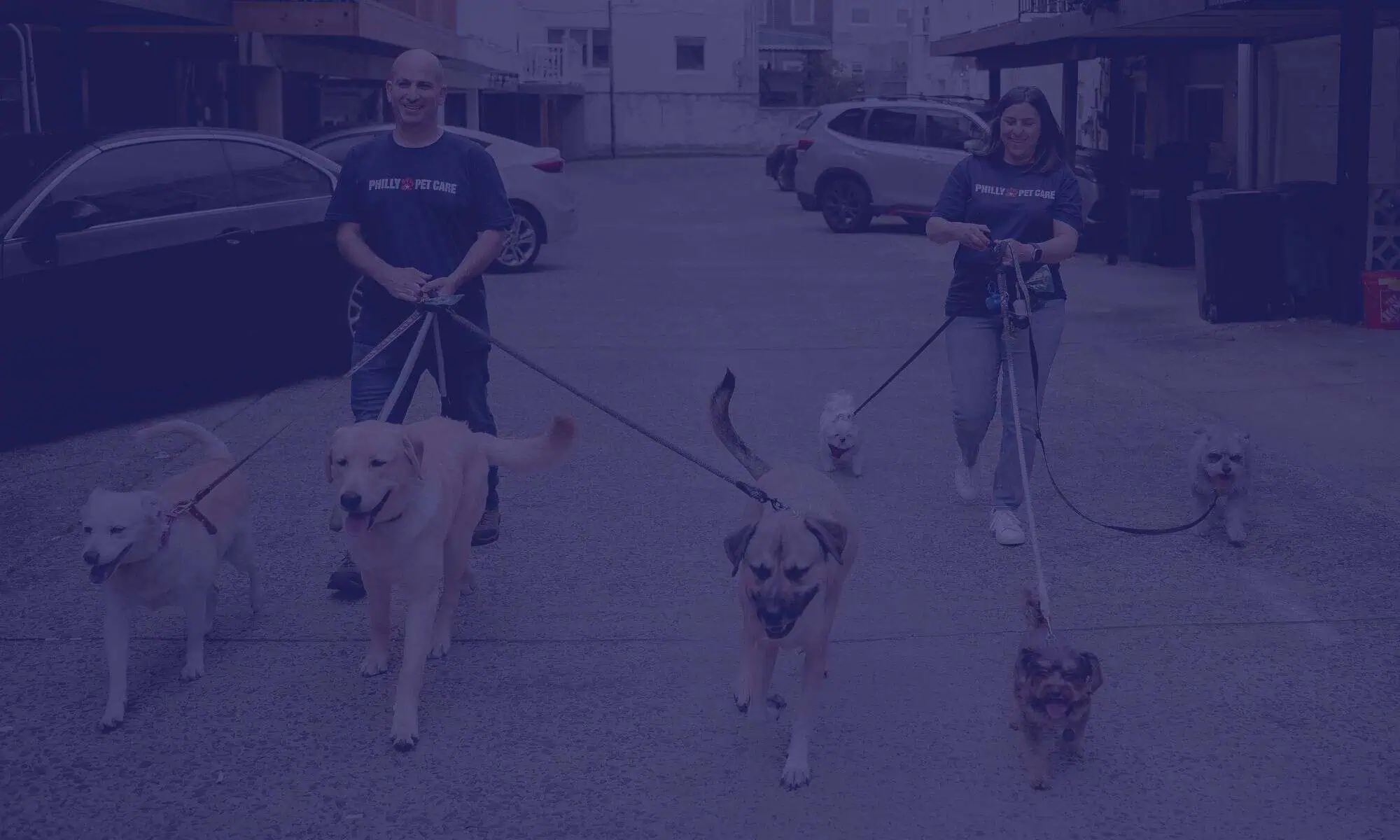 Why Choose Kristie Glazer dog walking and pet sitting services in Philadelphia (1)